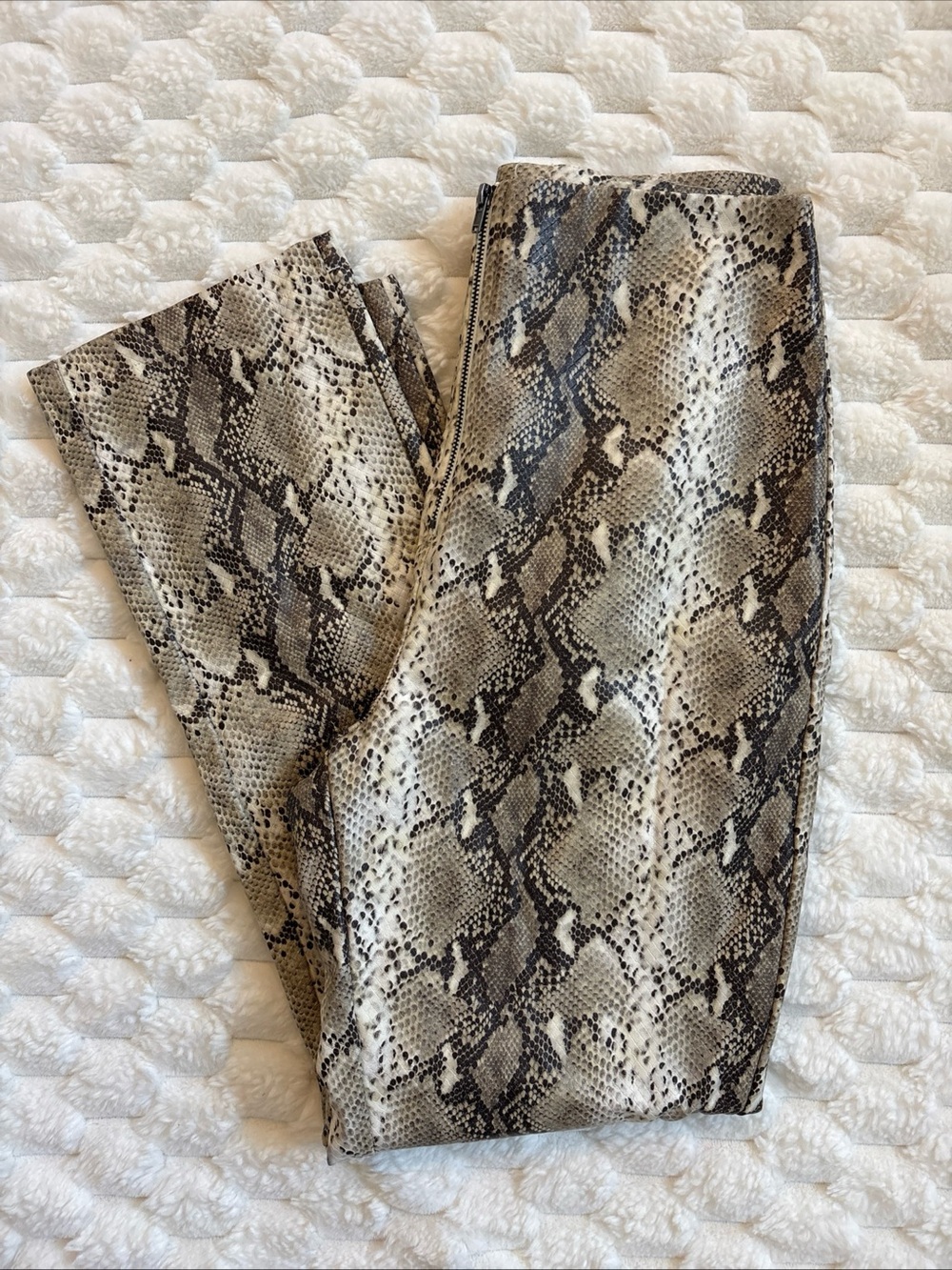 Wild Honey Snake Animal Print Faux Leather High Waist Pants Size Small Chic